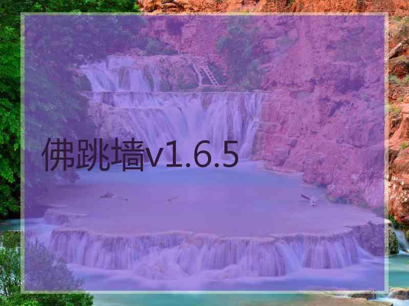 佛跳墙v1.6.5