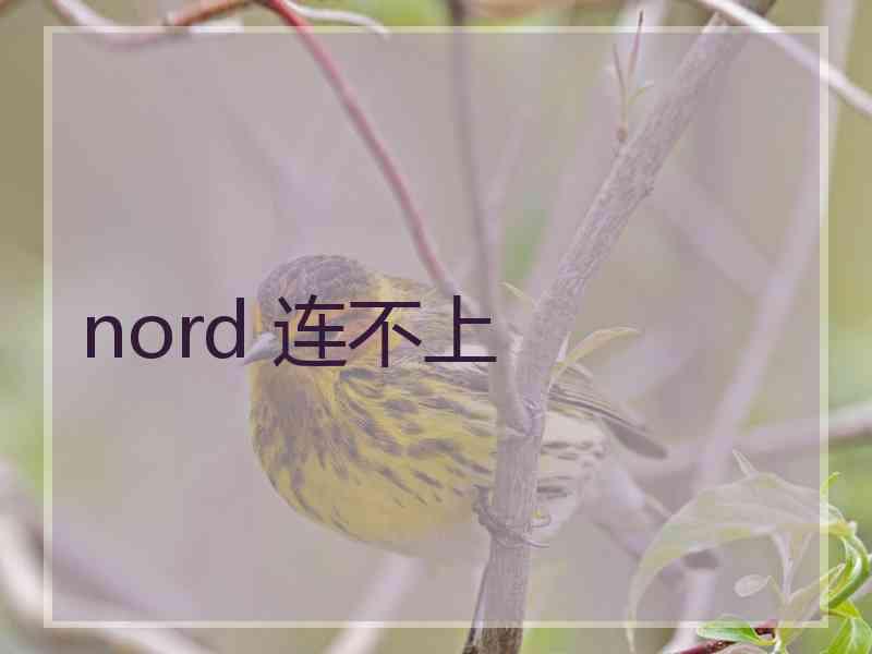 nord 连不上