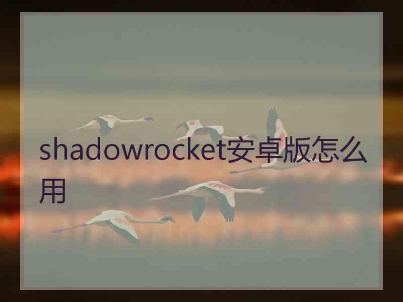 shadowrocket安卓版怎么用