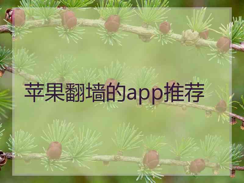 苹果翻墙的app推荐