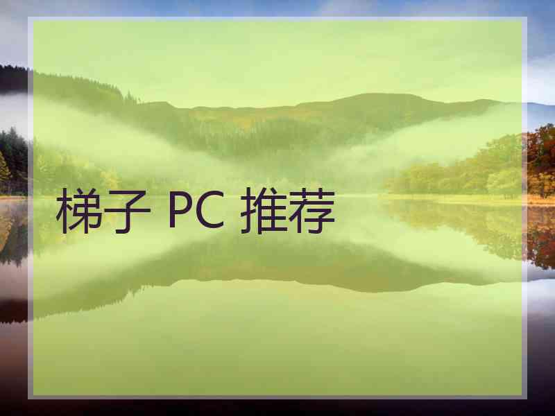 梯子 PC 推荐