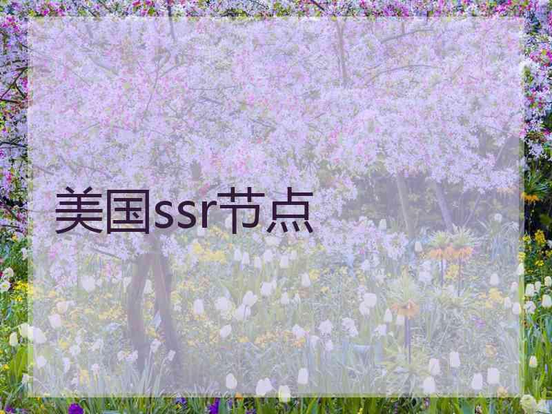 美国ssr节点