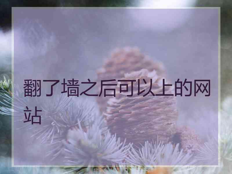 翻了墙之后可以上的网站