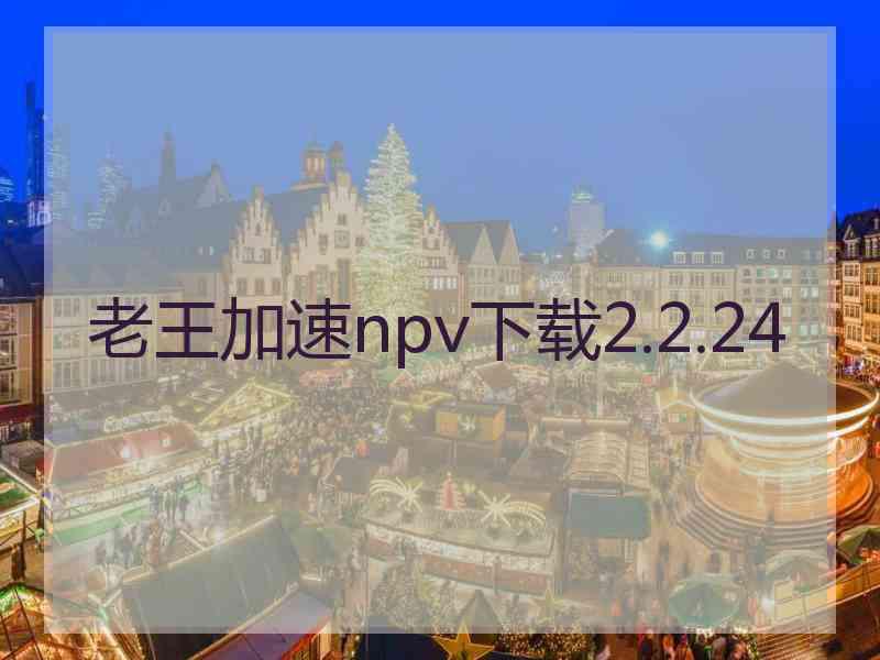 老王加速npv下载2.2.24