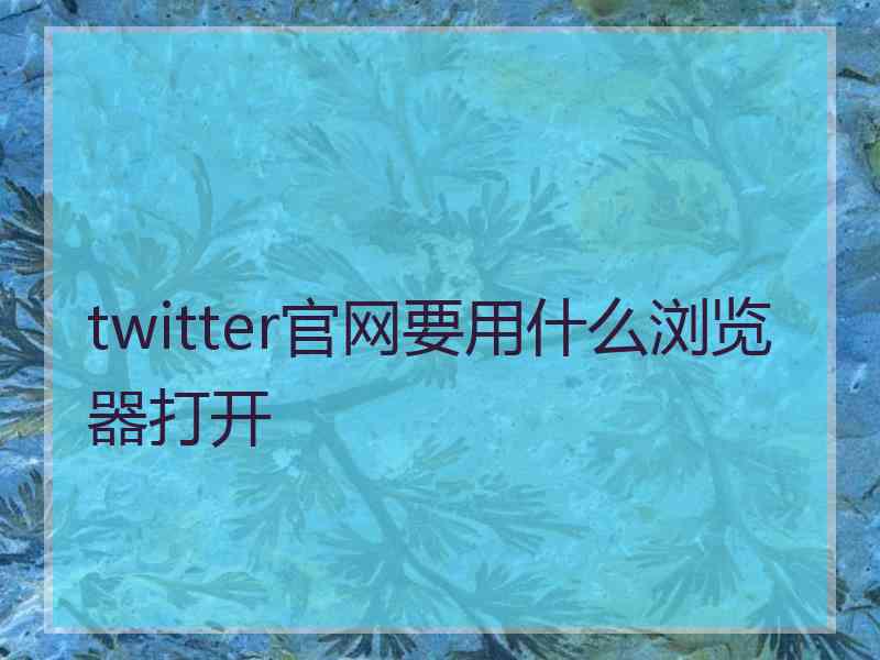 twitter官网要用什么浏览器打开