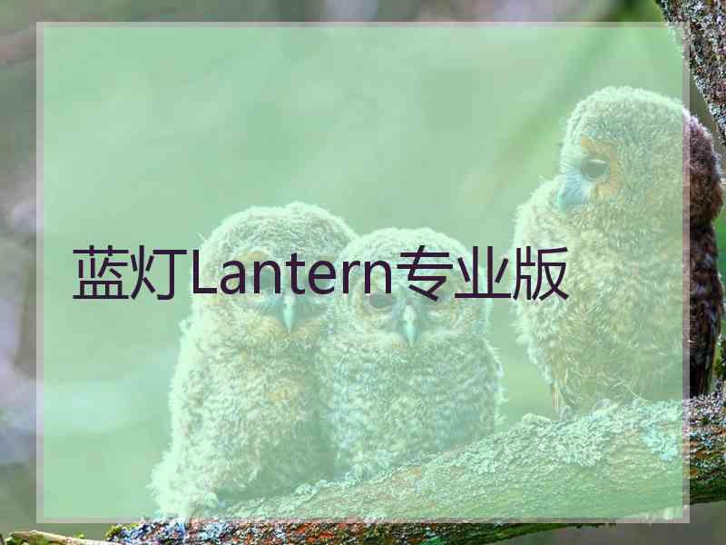 蓝灯Lantern专业版