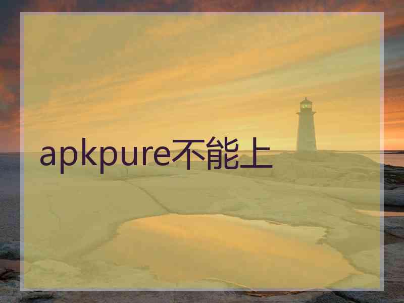 apkpure不能上