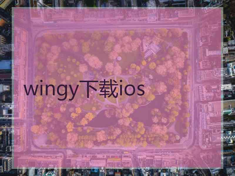 wingy下载ios