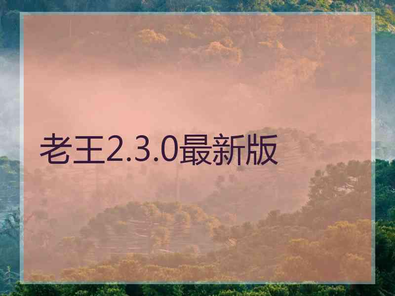 老王2.3.0最新版