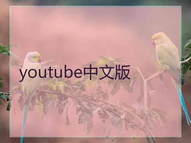 youtube中文版