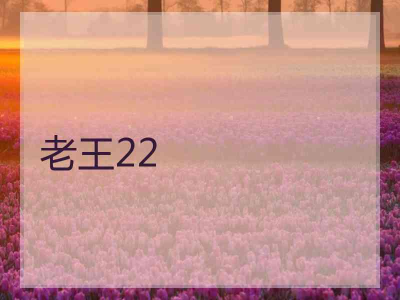 老王22