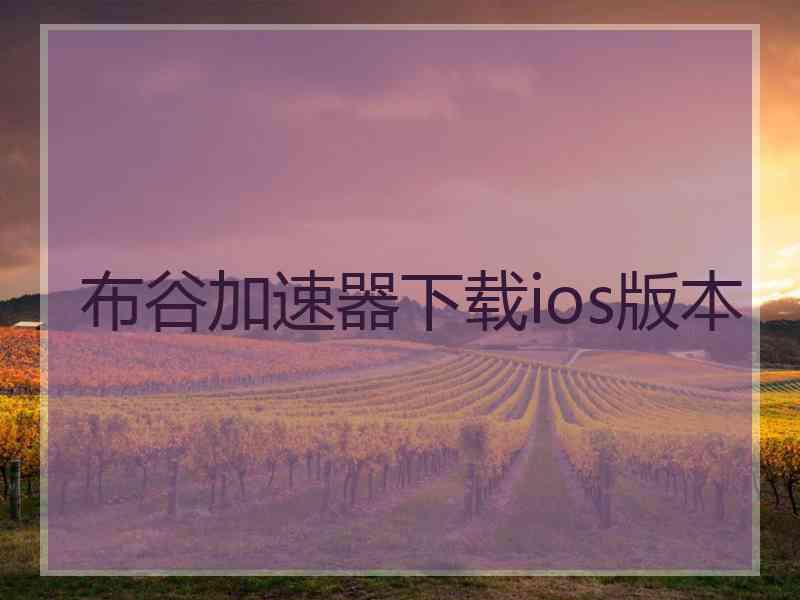 布谷加速器下载ios版本