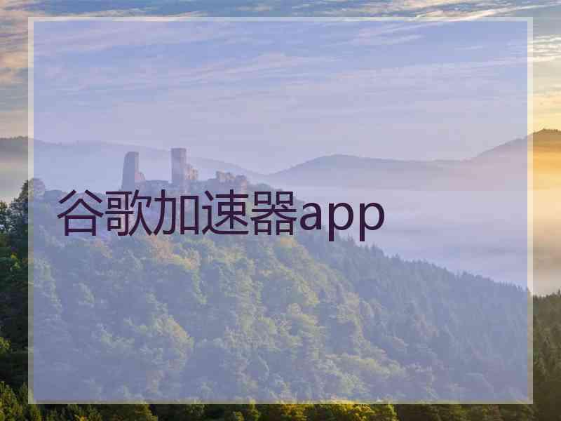 谷歌加速器app