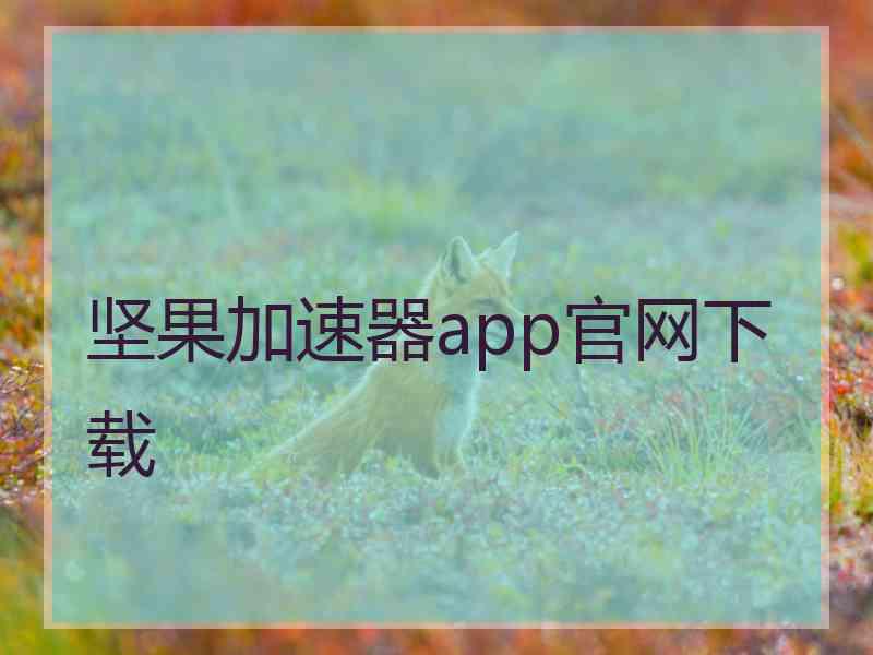 坚果加速器app官网下载