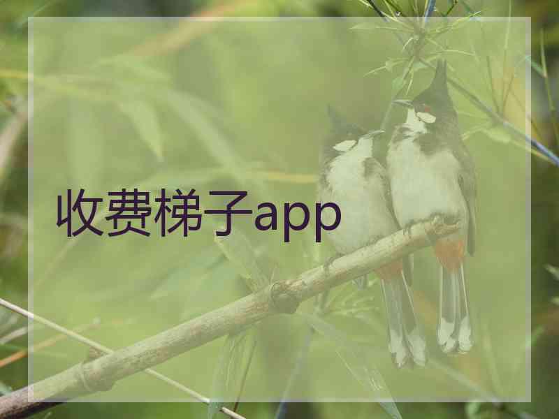 收费梯子app