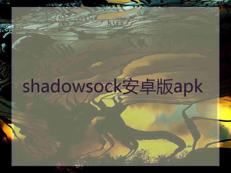 shadowsock安卓版apk