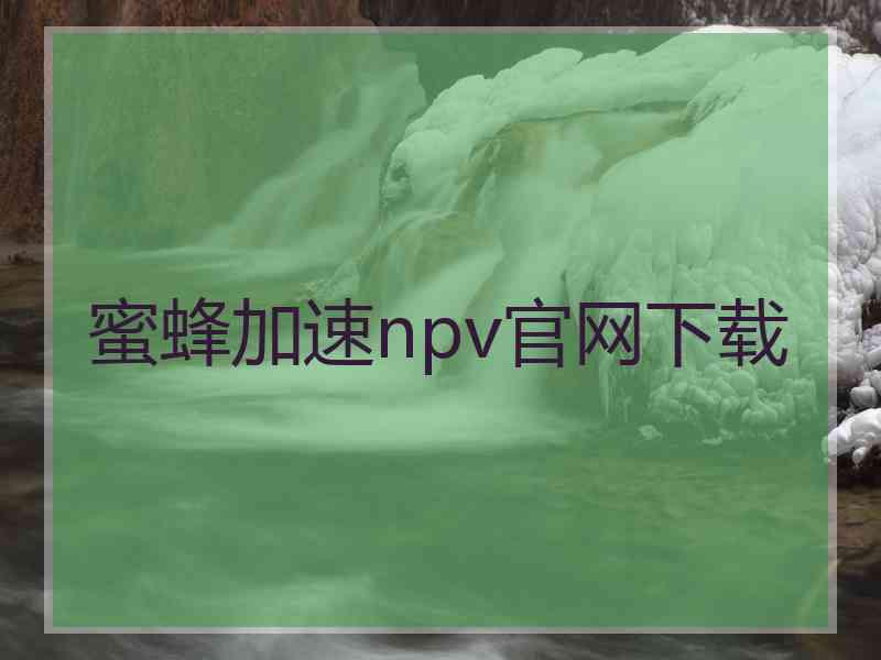 蜜蜂加速npv官网下载