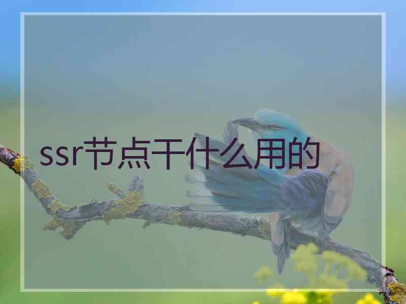 ssr节点干什么用的