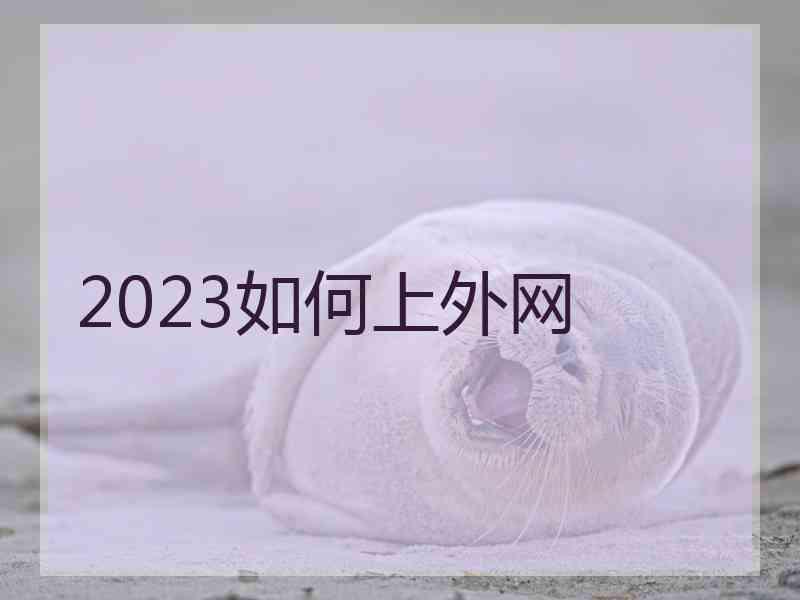 2023如何上外网