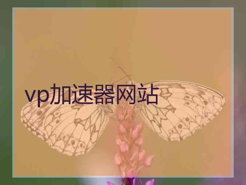 vp加速器网站