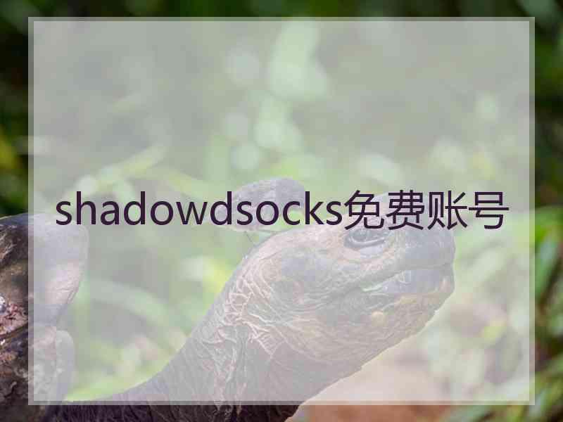 shadowdsocks免费账号