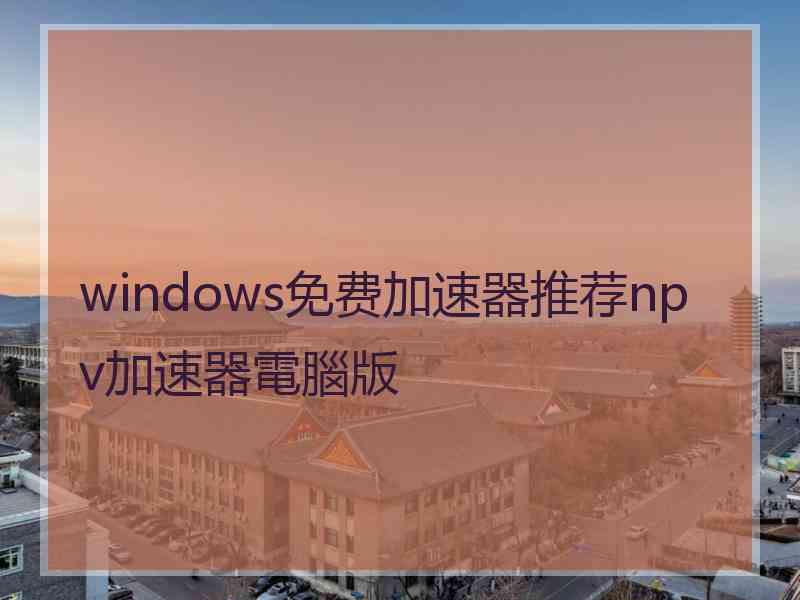 windows免费加速器推荐npv加速器電腦版