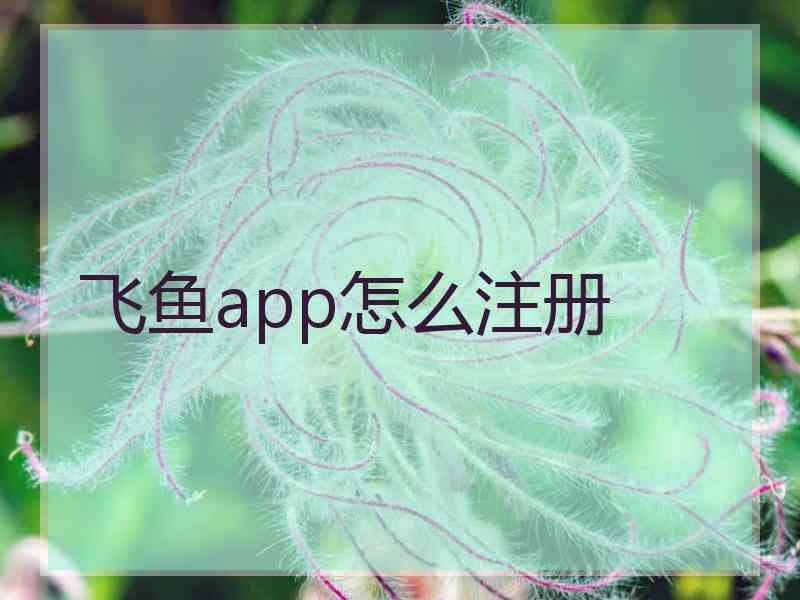 飞鱼app怎么注册