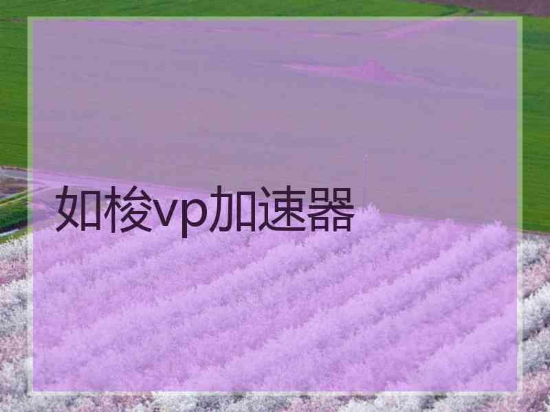 如梭vp加速器