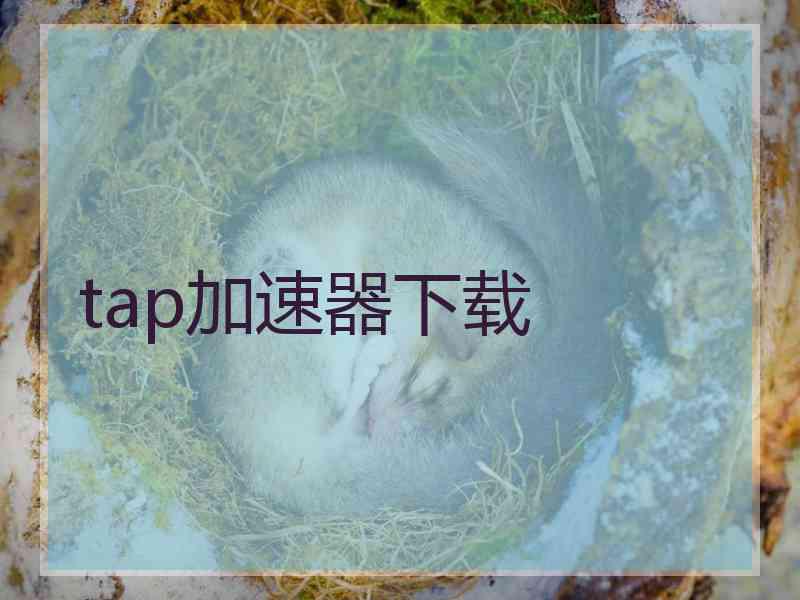 tap加速器下载