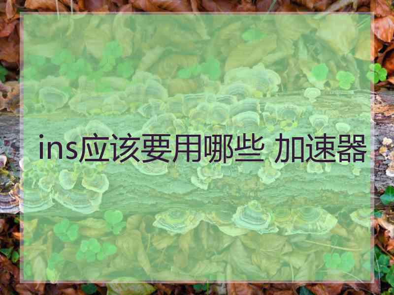 ins应该要用哪些 加速器