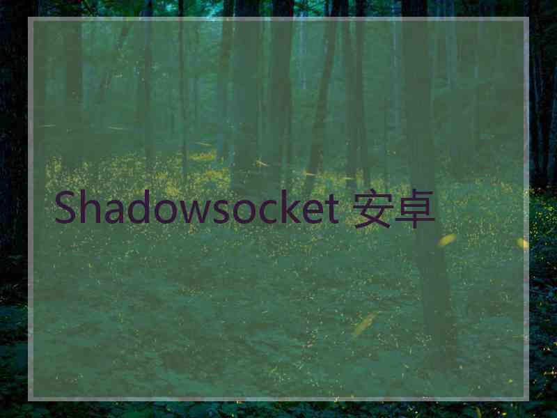 Shadowsocket 安卓