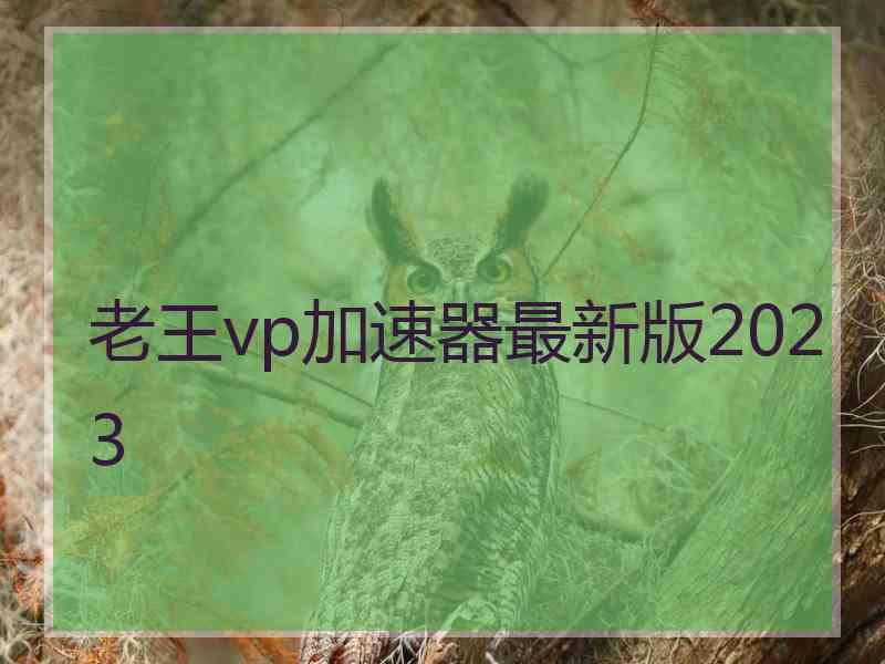 老王vp加速器最新版2023