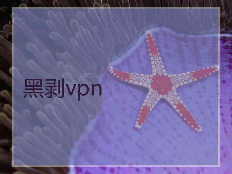 黑剥vpn