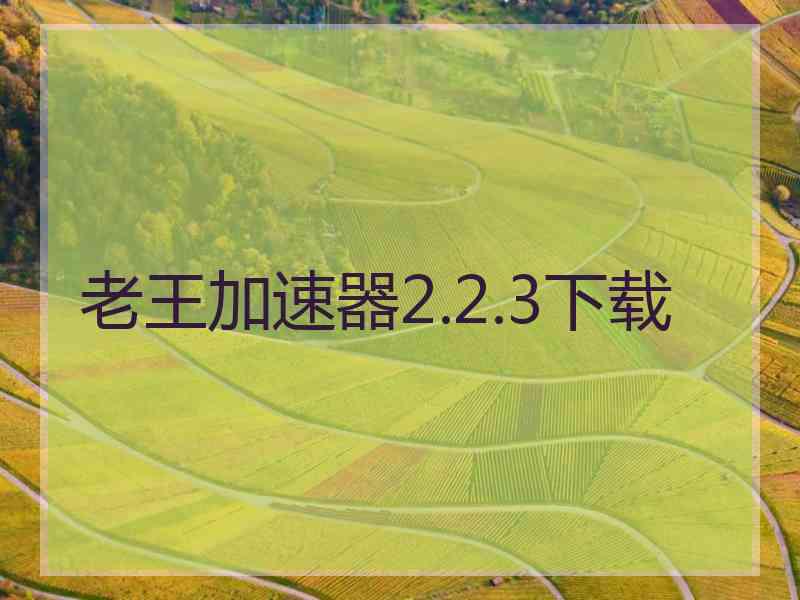 老王加速器2.2.3下载