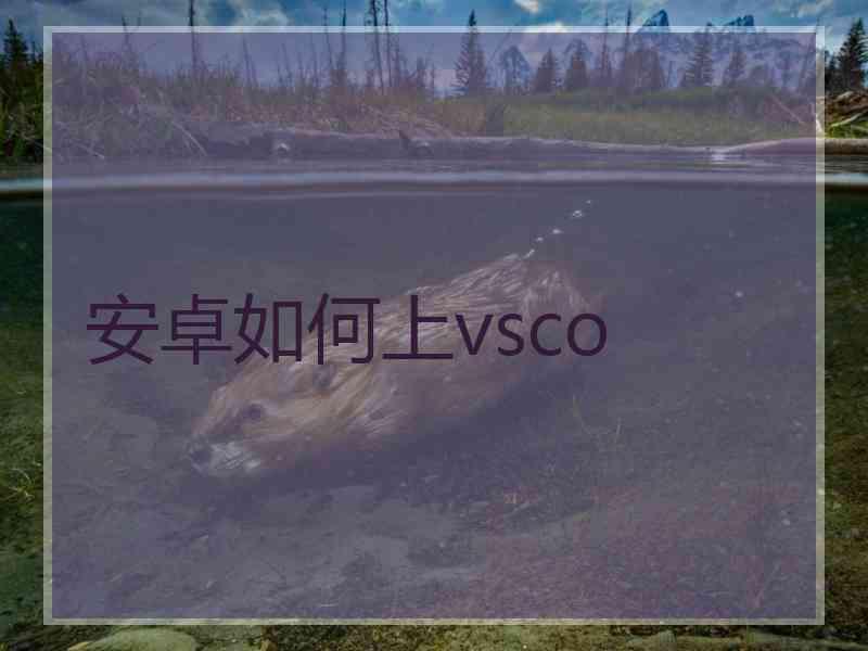 安卓如何上vsco