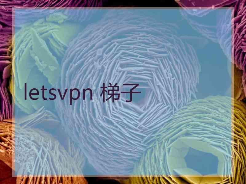 letsvpn 梯子