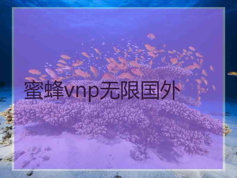 蜜蜂vnp无限国外