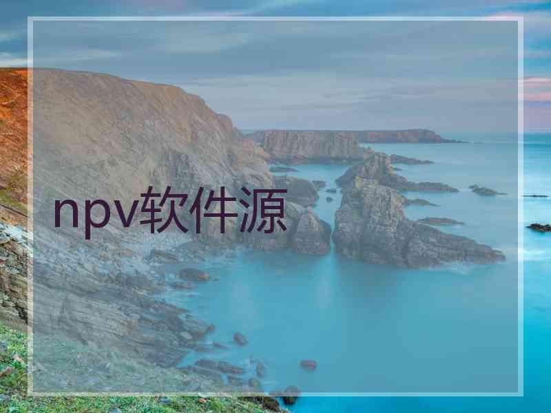 npv软件源