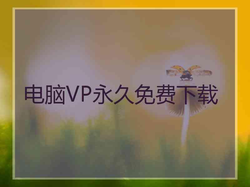 电脑VP永久免费下载