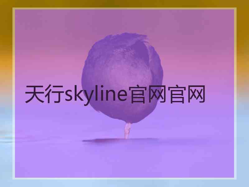 天行skyline官网官网