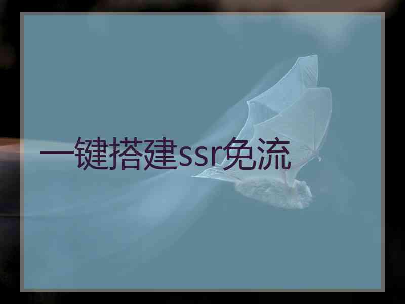 一键搭建ssr免流