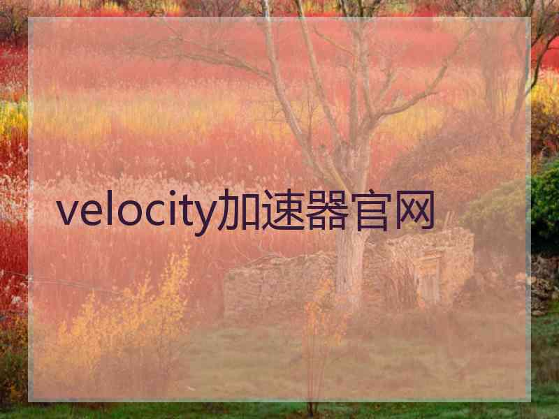 velocity加速器官网