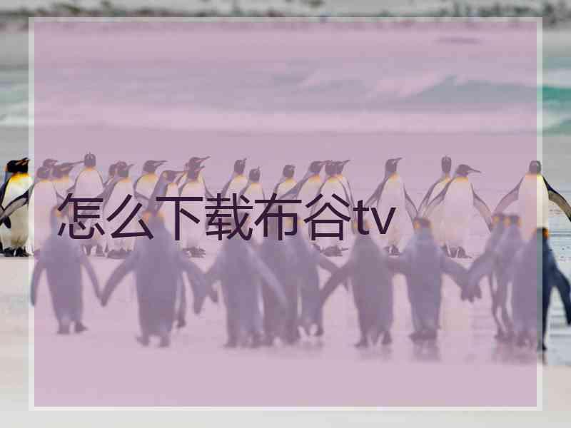 怎么下载布谷tv