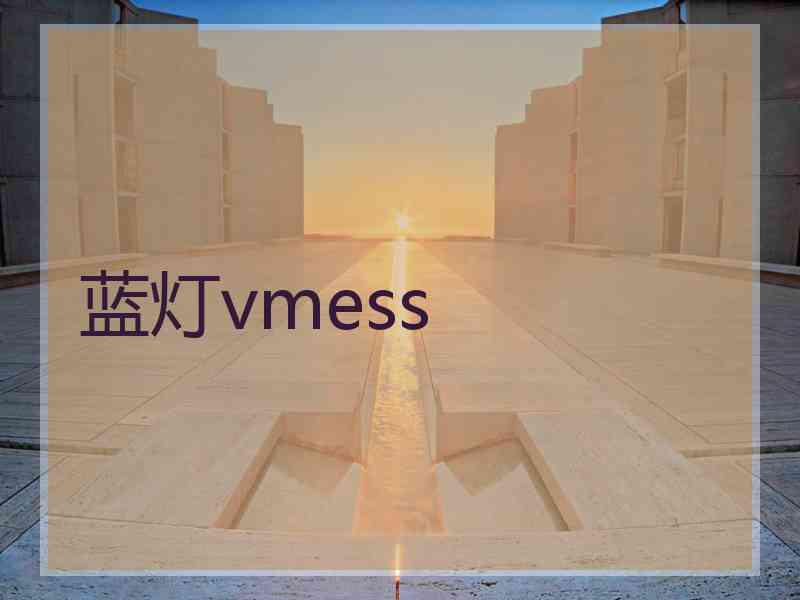 蓝灯vmess