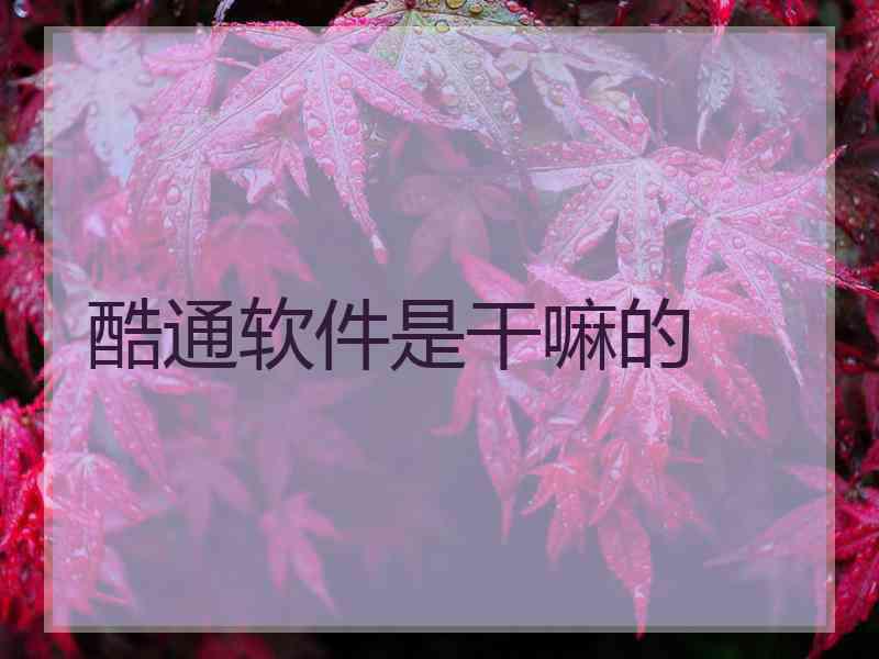 酷通软件是干嘛的