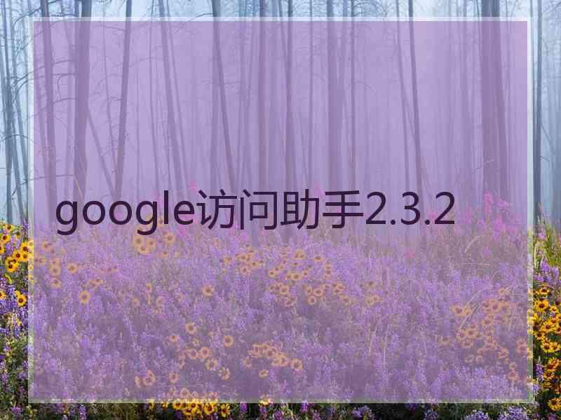 google访问助手2.3.2