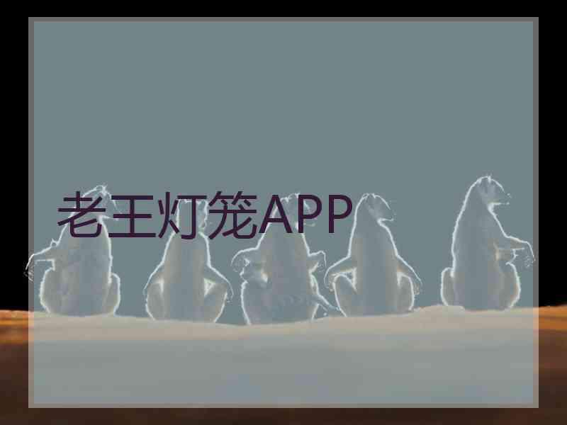 老王灯笼APP