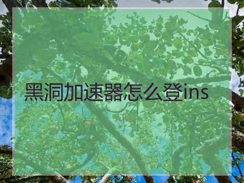 黑洞加速器怎么登ins