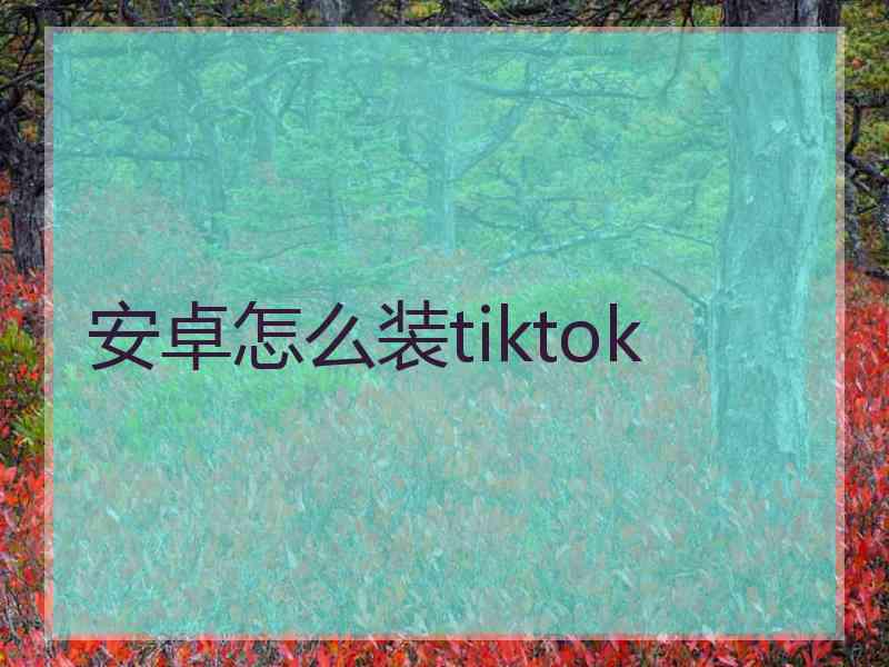 安卓怎么装tiktok