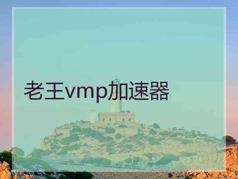 老王vmp加速器